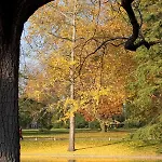 公寓 Spacieux Entre Parc Et Tramway