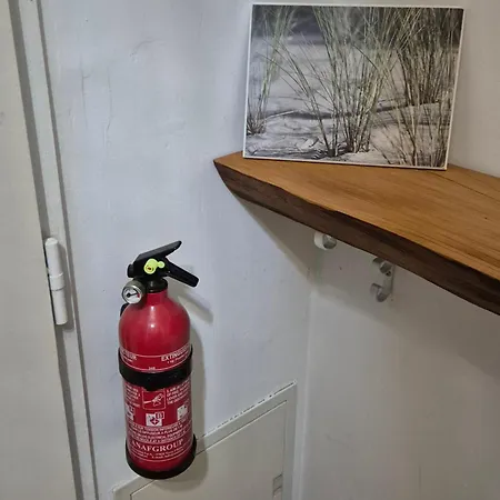 Appartement Spacieux Entre Parc Et Tramway Le Bouscat