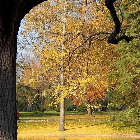 Appartement Appartement Spacieux Entre Parc Et Tramway